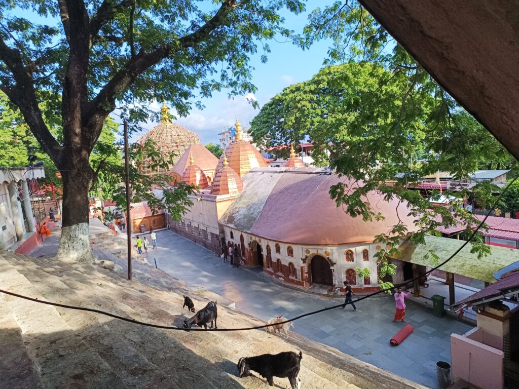 kamakhya devi temple